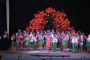 НАРОДНІ КОЛЕКТИВИ КОЗИНСЬКОГО БУДИНКУ КУЛЬТУРИ ПІДТВЕРДЖУЮТЬ СВОЇ ЗВАННЯ