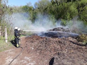 Рятувальники 46-ї ДПРЧ смт Козин залучалися до ліквідації загорань в природних екосистемах